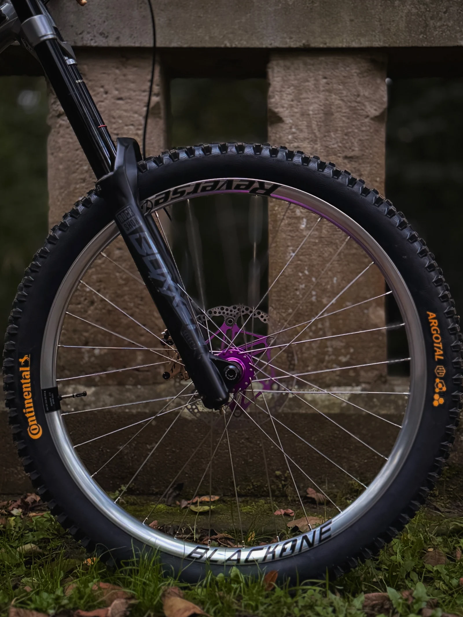 Silberne Reverse Black One DH-Felge mit lila Hope-Nabe und Continental Argotal