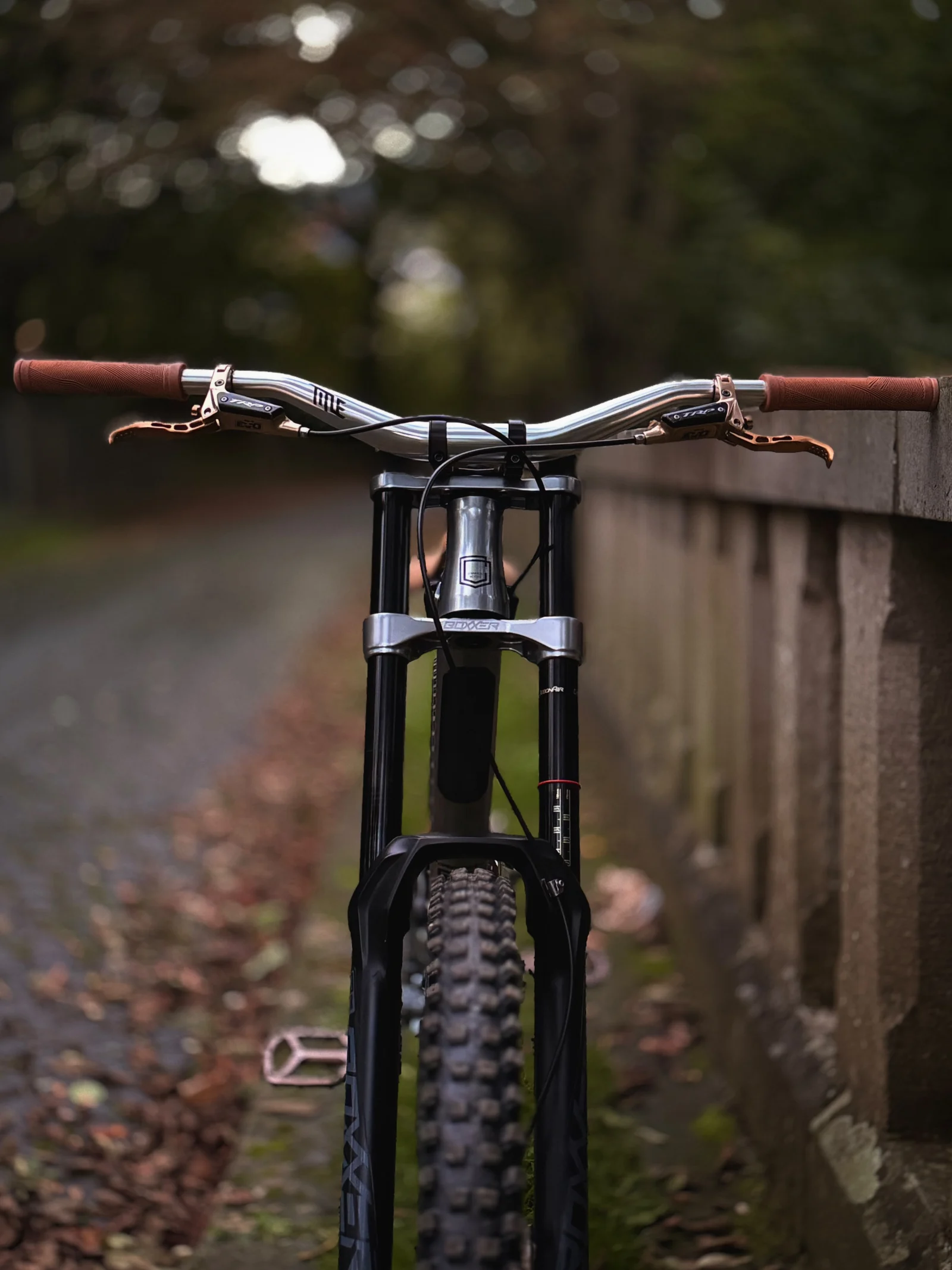 Frontansicht des FRS mit RockShox BoXXer, silbernem TITLE-Lenker und TRP-Bremsen