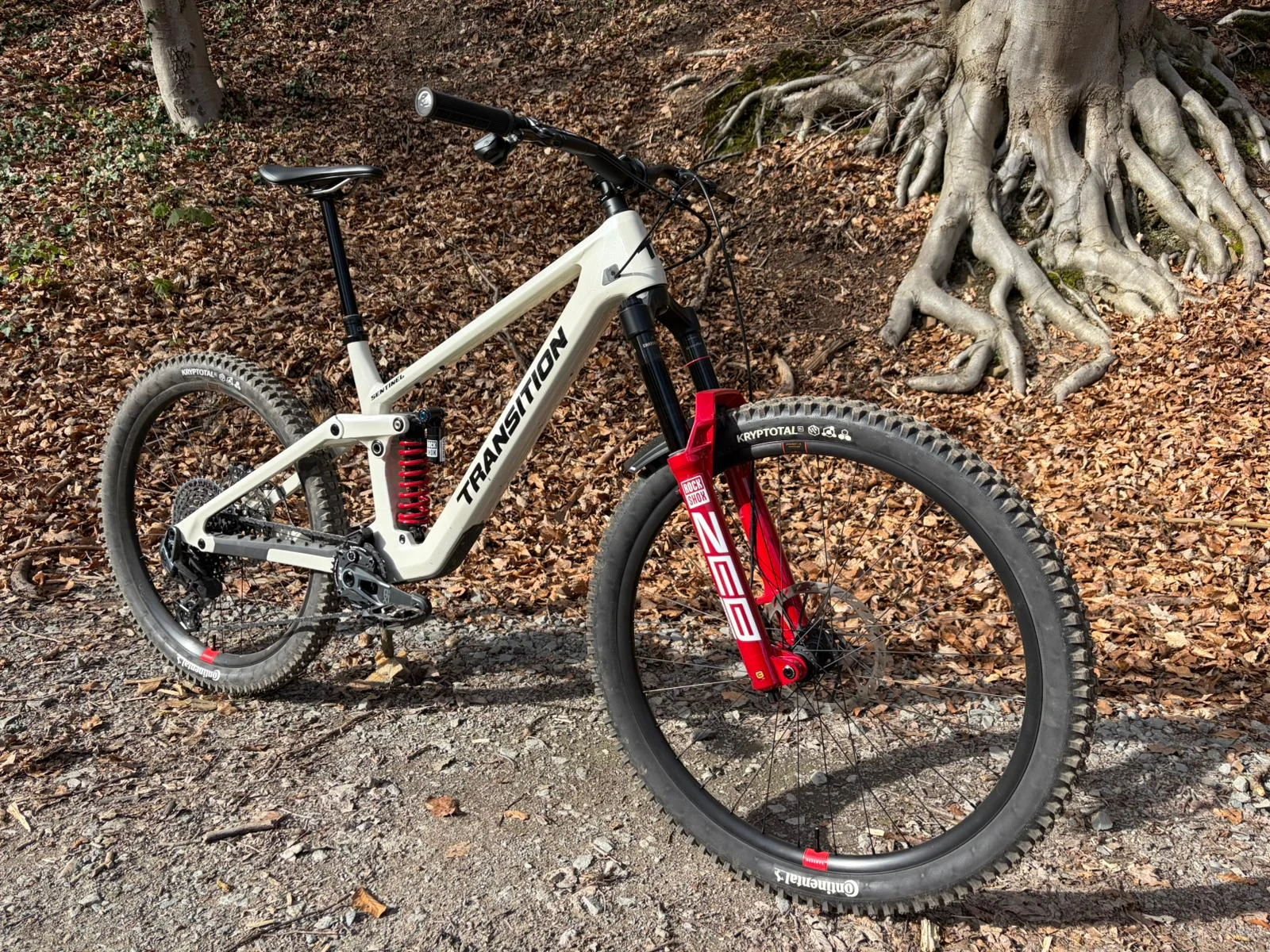 Dominiks Transition Sentinel V3 Carbon als vollständige Bike-Ansicht im Wald