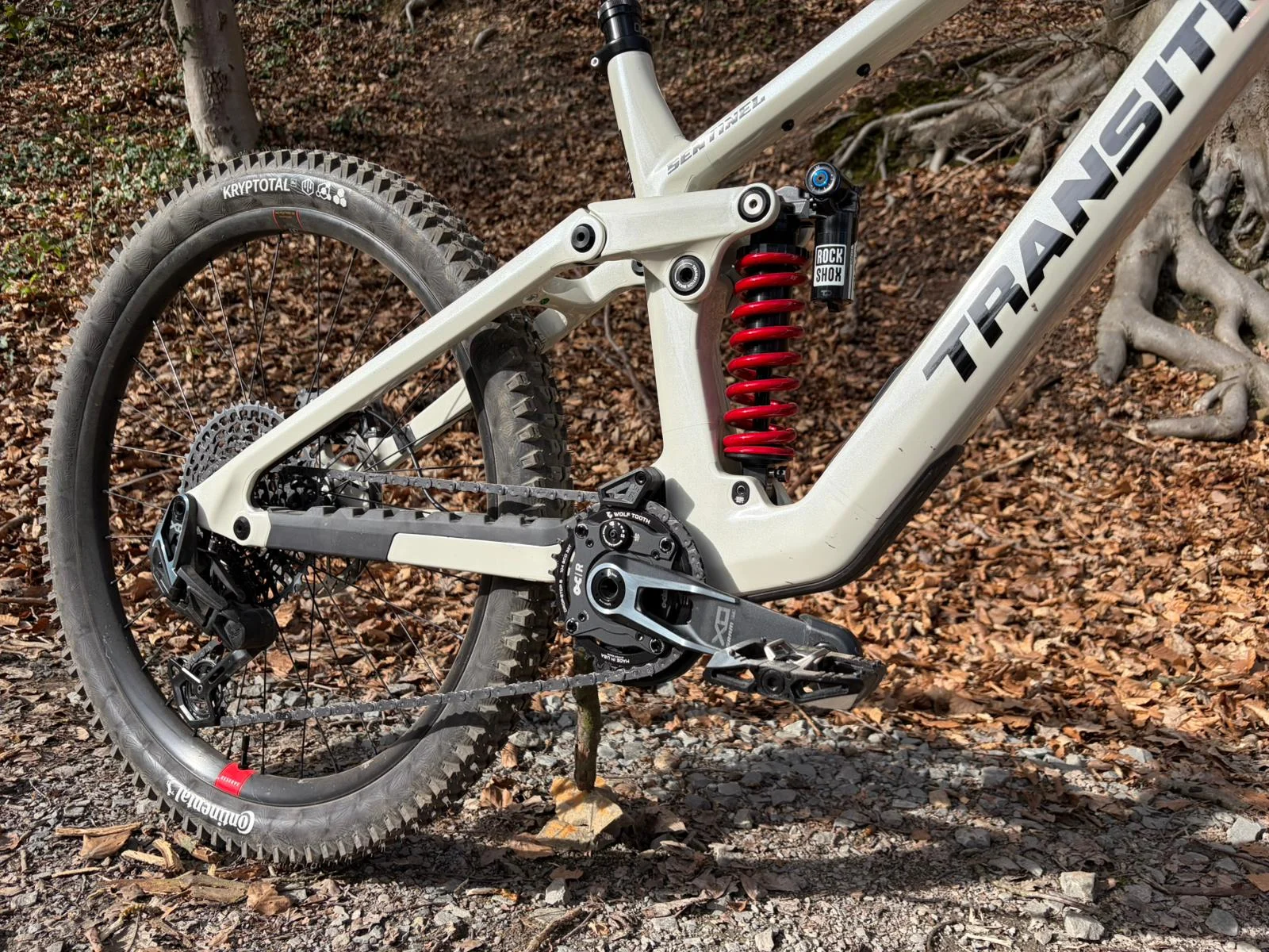 Hinterbau, RockShox Vivid Coil und Antrieb von Dominiks Transition Sentinel