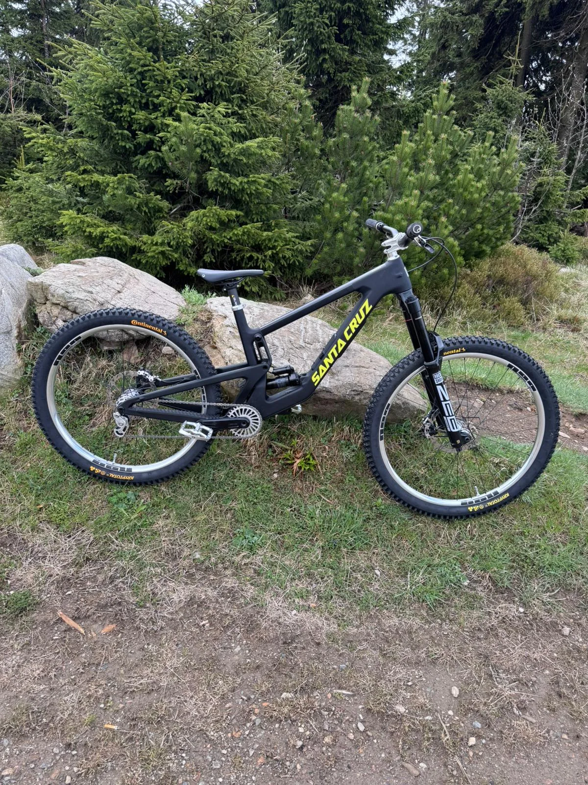 Johannes’ Santa Cruz Nomad V6 als vollständige Seitenansicht im Wald