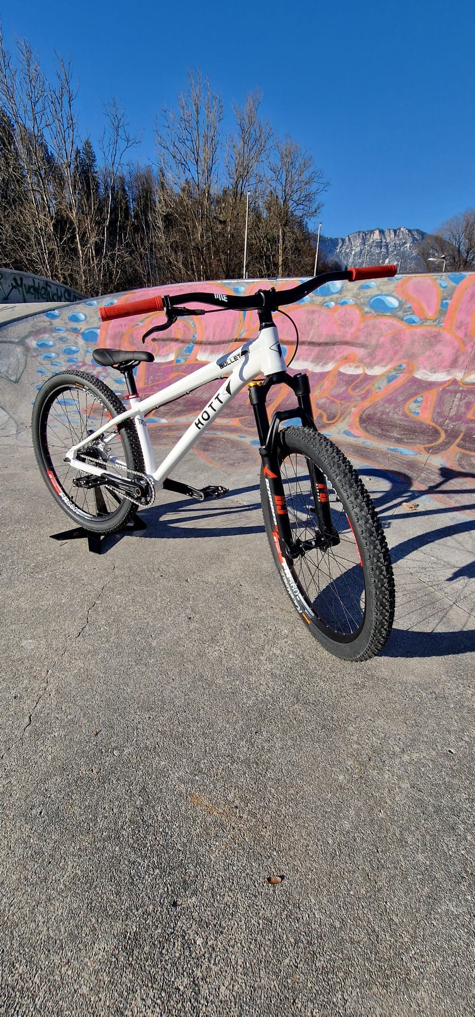 Weißes Bullet im Skatepark
