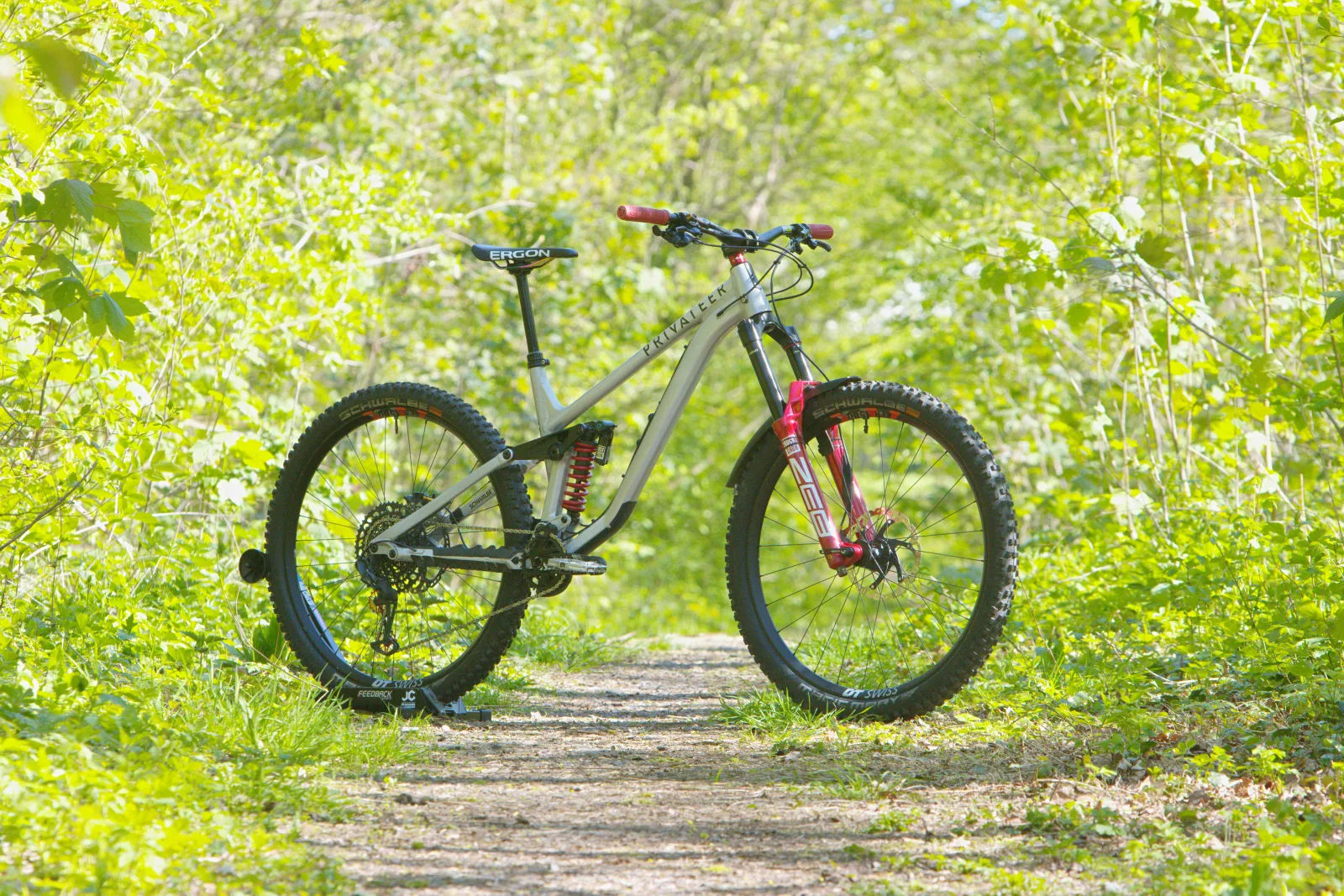 Dandys Privateer 161 Gen 1 aka Scarface im Wald