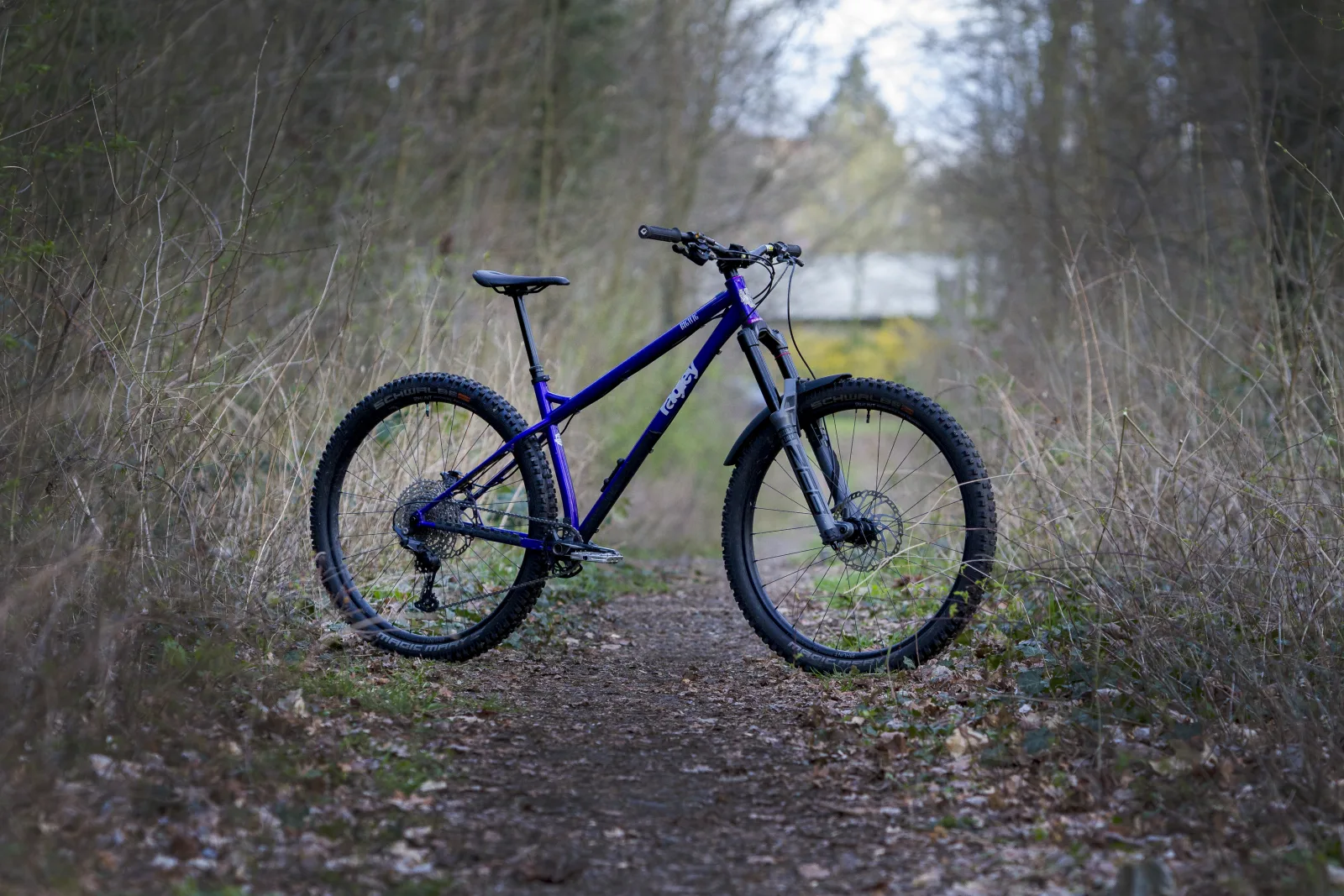 Dandys Ragley Big Wig aka Frost Bite auf einem Waldtrail